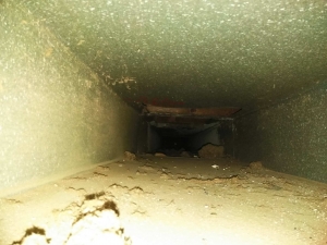 Before Air Duct Cleaning - Roseville, MI